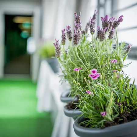 Alma Апарт-отель